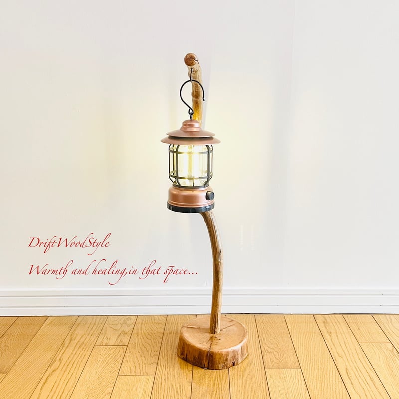 美しく曲線を描くのSサイズの流木スタンド エアプラントを飾れる置物