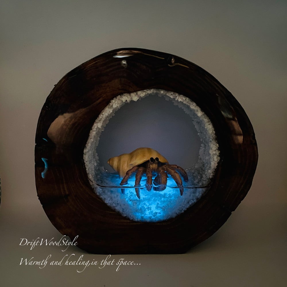 【流木作品】 アート作品 オブジェ 置物W83cm×H87cm×D67cm 海の世界を閉じ込めた流木アート 浅瀬を歩くヤドカリ 水中ジオラマ