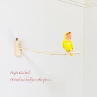 流木　吊り下げ式　止まり木 流木 吊り下げ式 止まり木