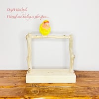 流木止まり木 シンプルな天然流木の小鳥の止まり木 吊り下げタイプ