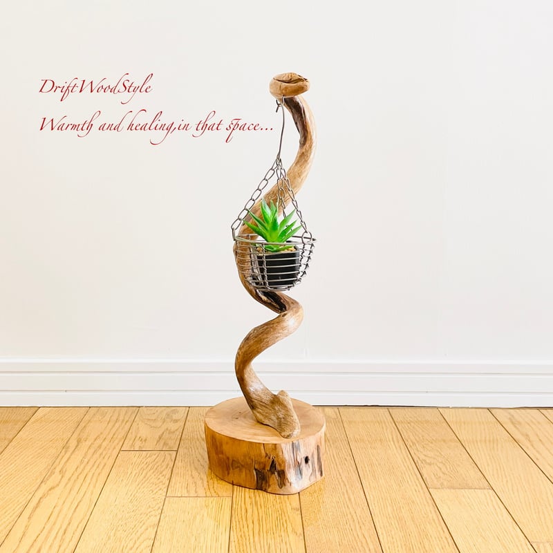 螺旋を描く枝のSサイズの流木スタンド エアプラントを飾れる置物 N1