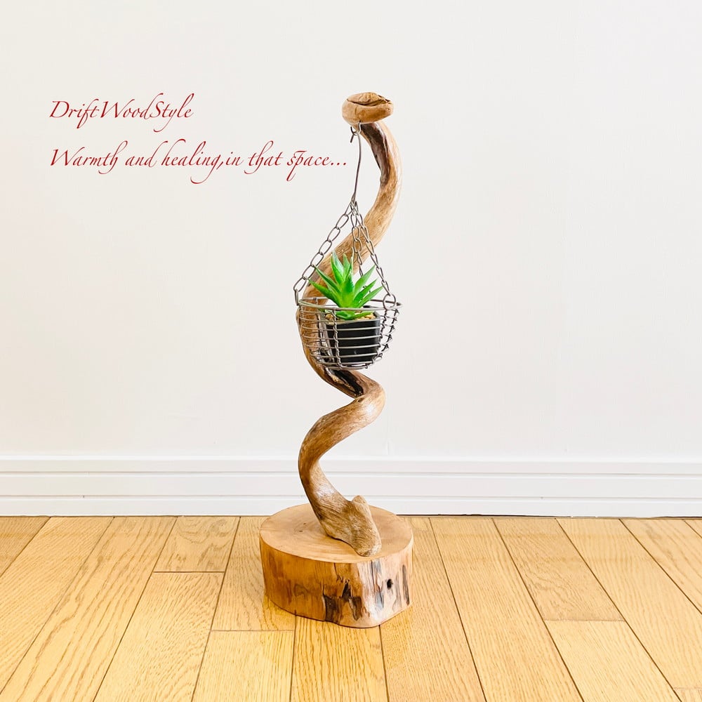 螺旋を描く枝のSサイズの流木スタンド エアプラントを飾れる置物 N1