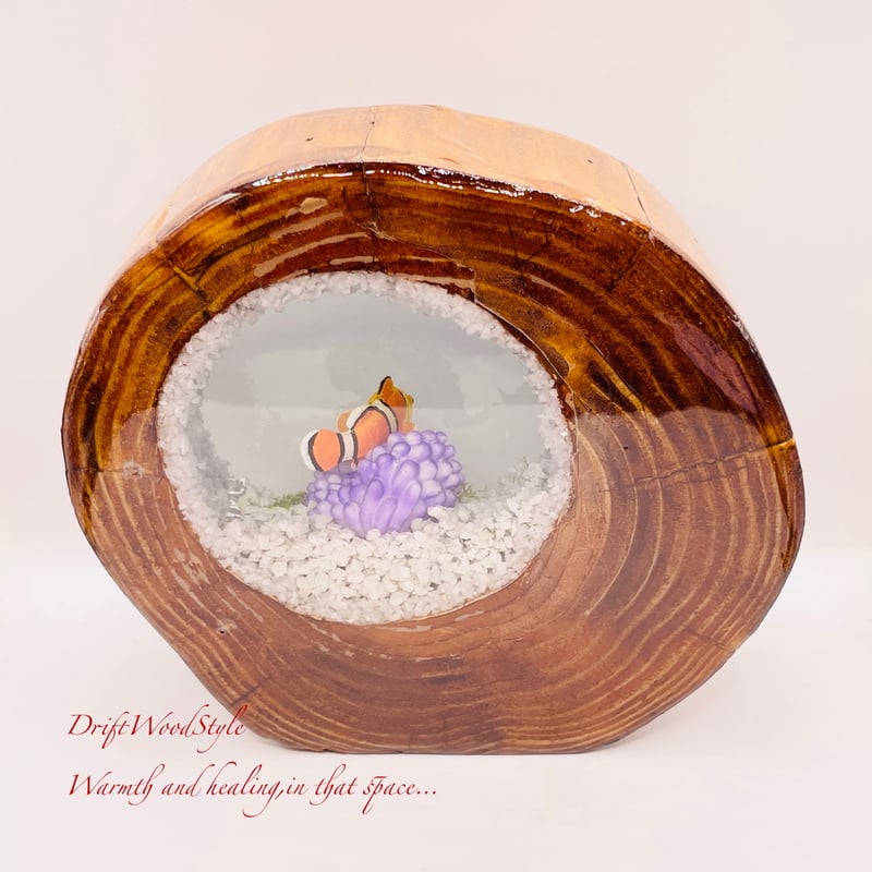 海の世界を閉じ込めた流木アート カクレクマノミ 水中ジオラマ 流木