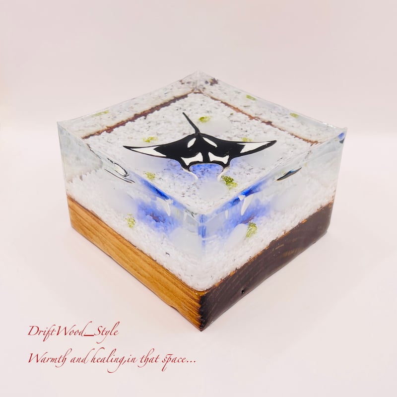 海の世界を閉じ込めた流木アート マンタ 水中ジオラマ 流木 レジン