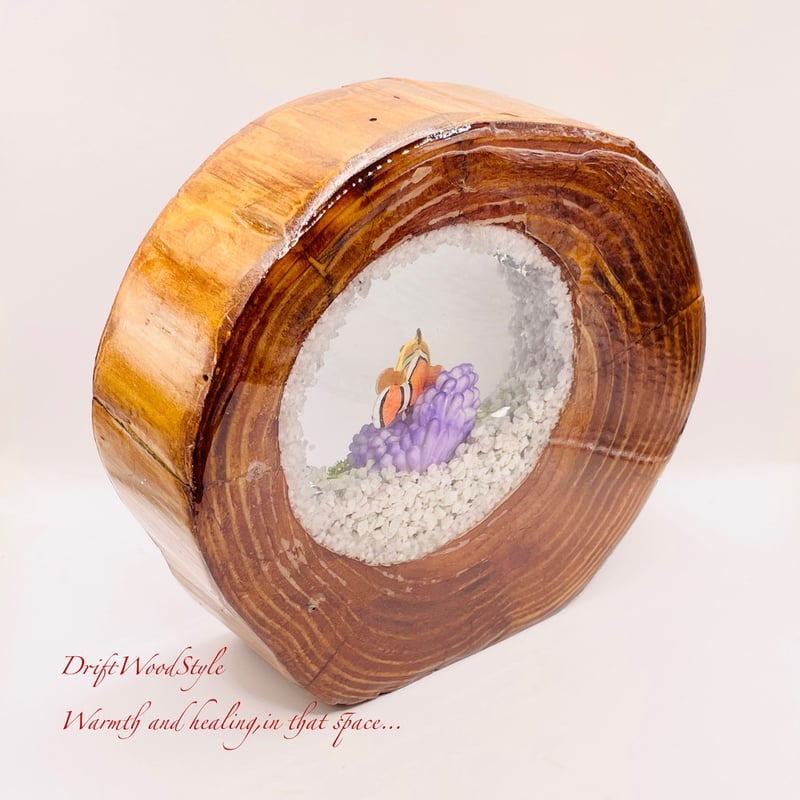 海の世界を閉じ込めた流木アート カクレクマノミ 水中ジオラマ 流木