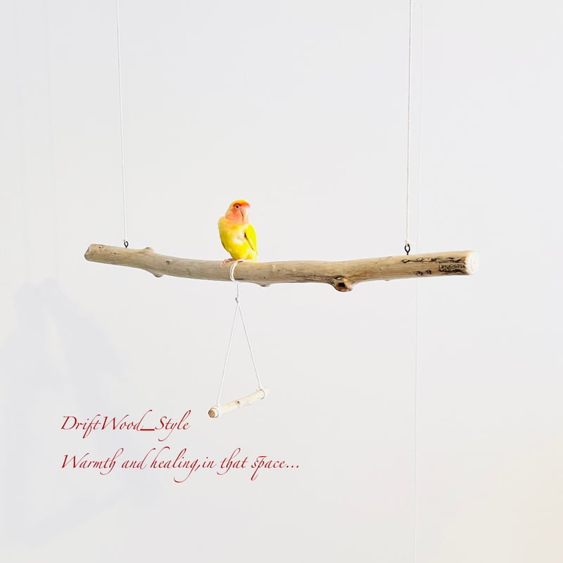 流木止まり木 シンプルな天然流木の小鳥の止まり木 吊り下げタイプ