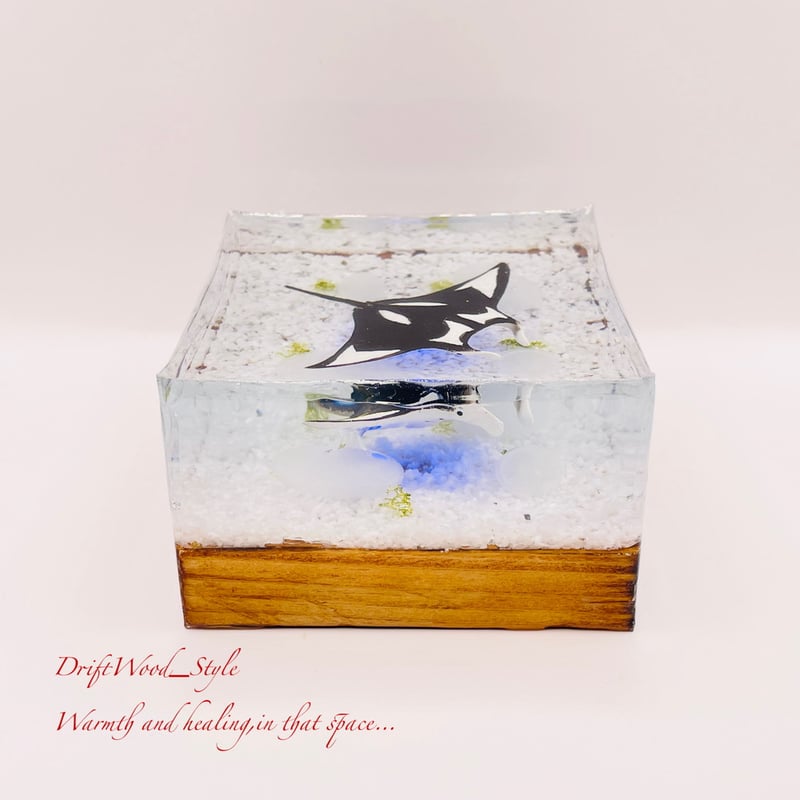 海の世界を閉じ込めた流木アート マンタ 水中ジオラマ 流木 レジン