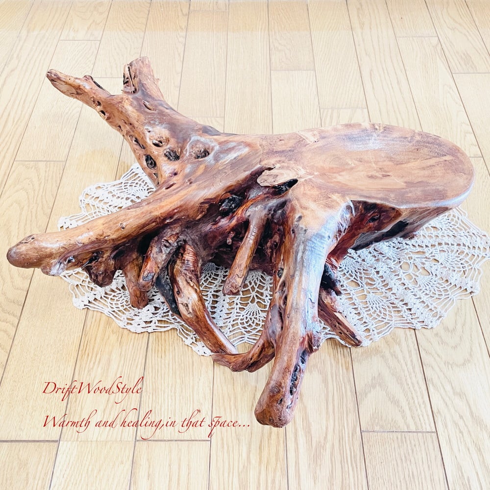 流木 インテリア 流木インテリア 圧倒的な存在感を醸す流木の置物 皿 トレー N3