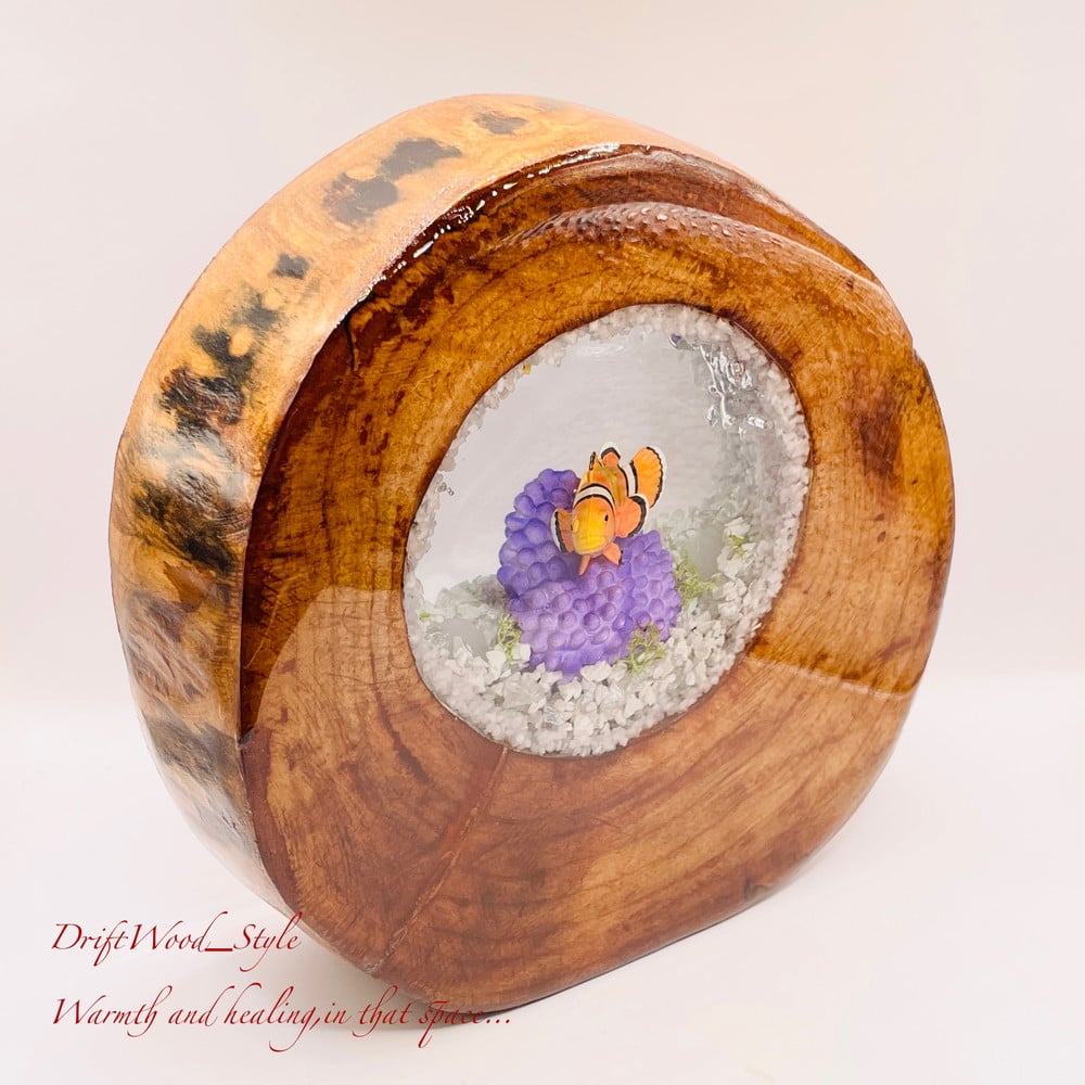 海の世界を閉じ込めた流木アート カクレクマノミ 水中ジオラマ 流木