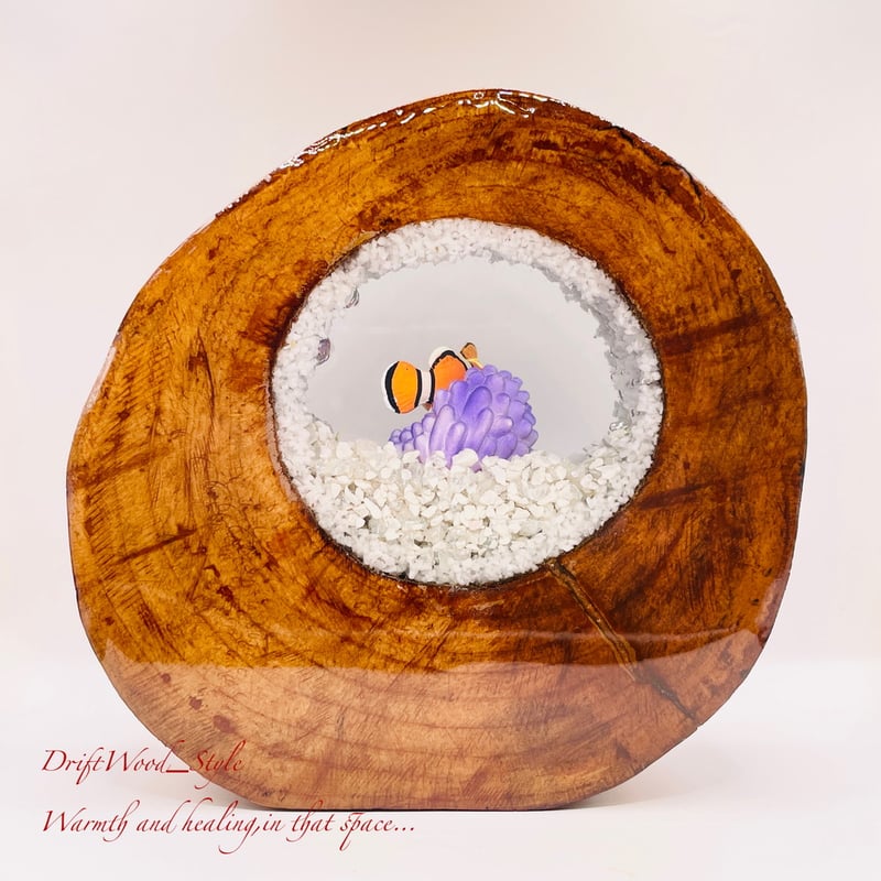 海の世界を閉じ込めた流木アート カクレクマノミ 水中ジオラマ 流木