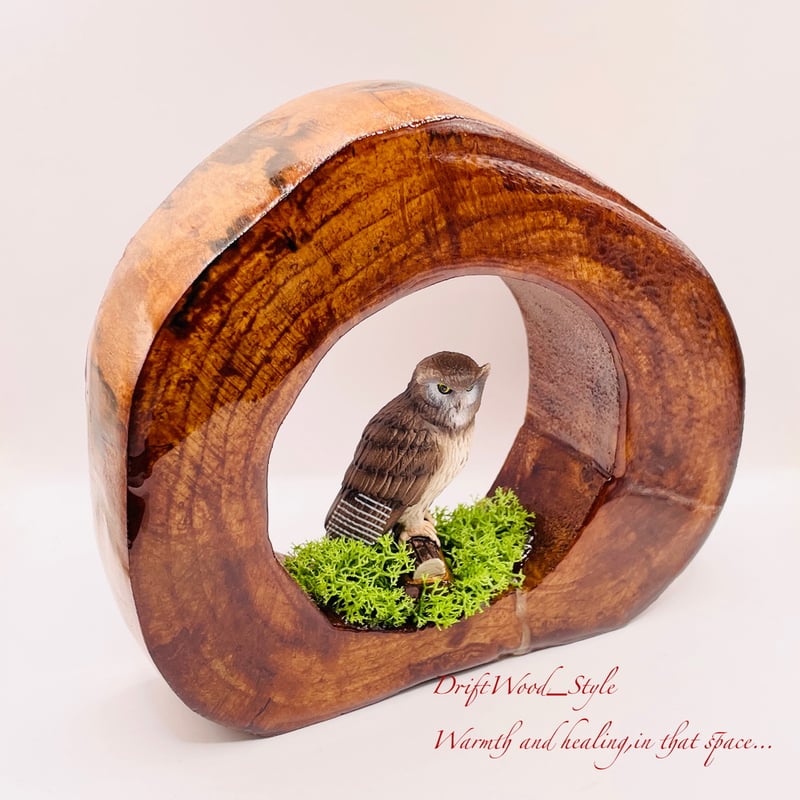 木製 鳥用止まり木 フクロウ彫刻付き 流木インテリア【フクロウ