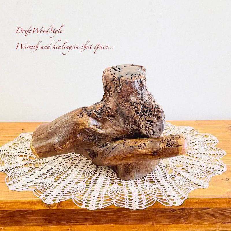 流木インテリア 芸術的な木の根が美しい流木 スタンド 植物や小物を