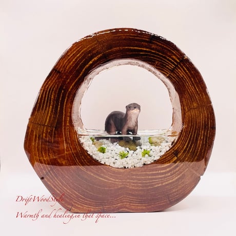 カワウソ | STORES カワウソ | STORES