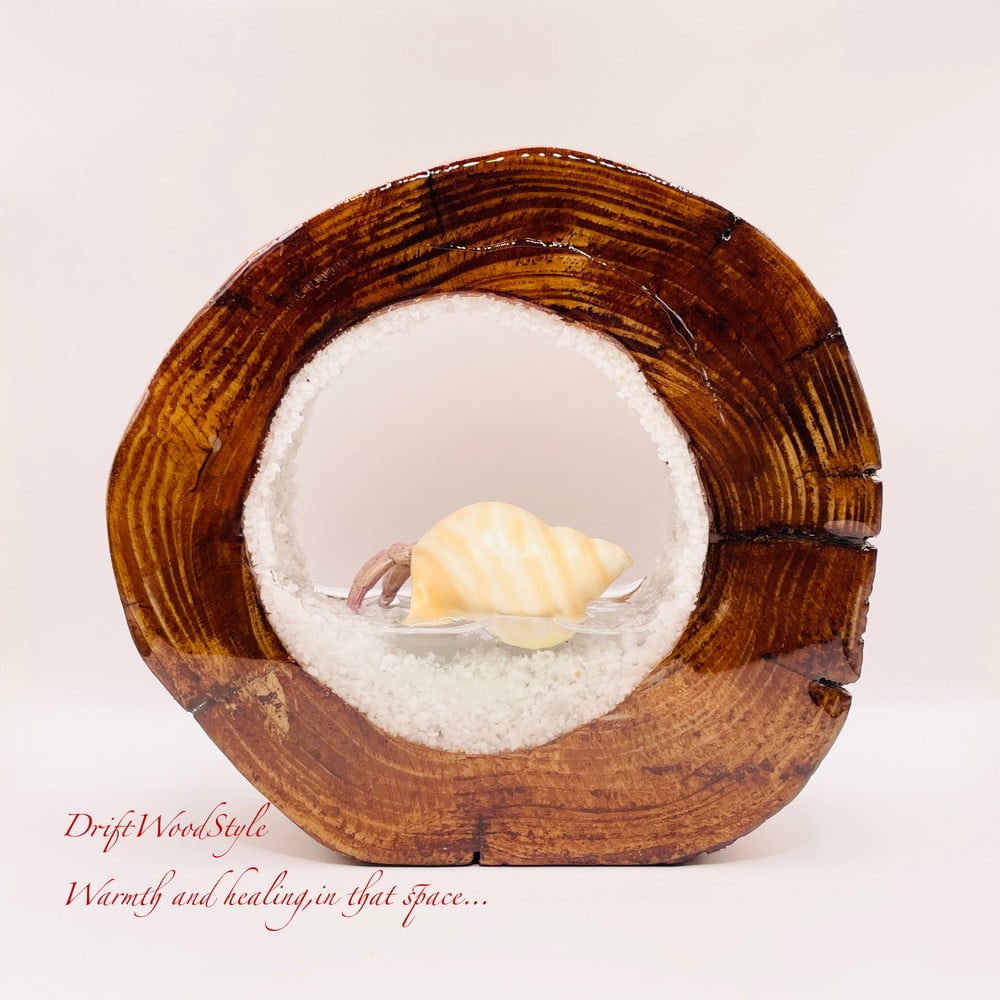 【流木作品】 アート作品 オブジェ 置物W83cm×H87cm×D67cm 海の世界を閉じ込めた流木アート 浅瀬を歩くヤドカリ 水中ジオラマ