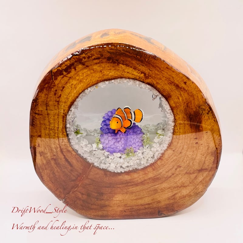 海の世界を閉じ込めた流木アート カクレクマノミ 水中ジオラマ 流木