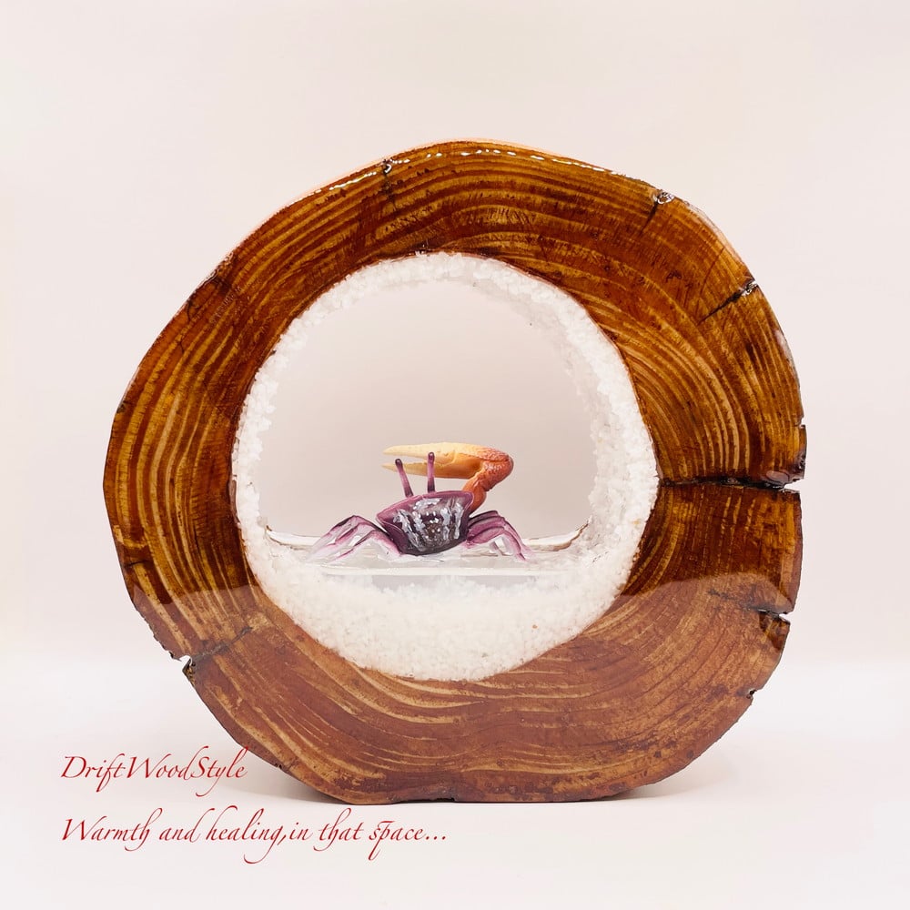 海の世界を閉じ込めた流木アート 浅瀬を歩くシオマネキ カニ 水中