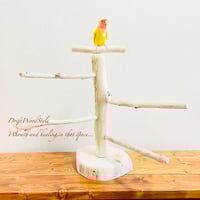 流木止まり木 シンプルな天然流木の小鳥の止まり木 吊り下げタイプ