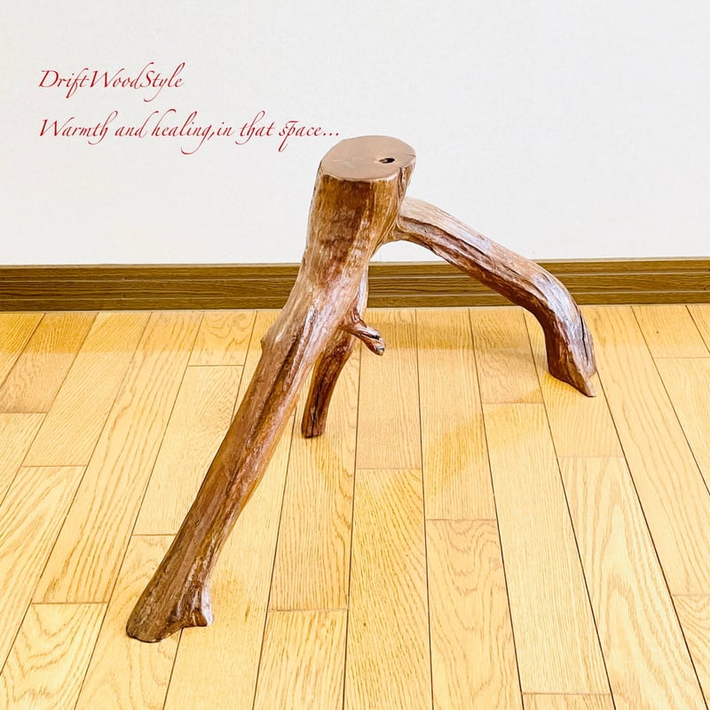 流木インテリア 芸術的に伸びる木の根が美しい流木 スタンド 植物や