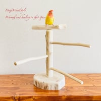 流木止まり木 シンプルな天然流木の小鳥の止まり木 吊り下げタイプ