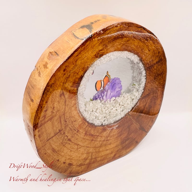 海の世界を閉じ込めた流木アート カクレクマノミ 水中ジオラマ 流木