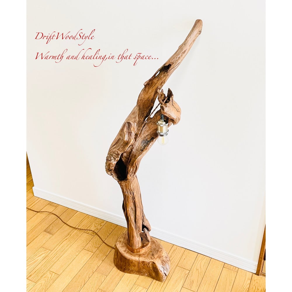 芸術的な造形の流木フロアスタンド 照明 N1 | DriftWoodStyle STORE