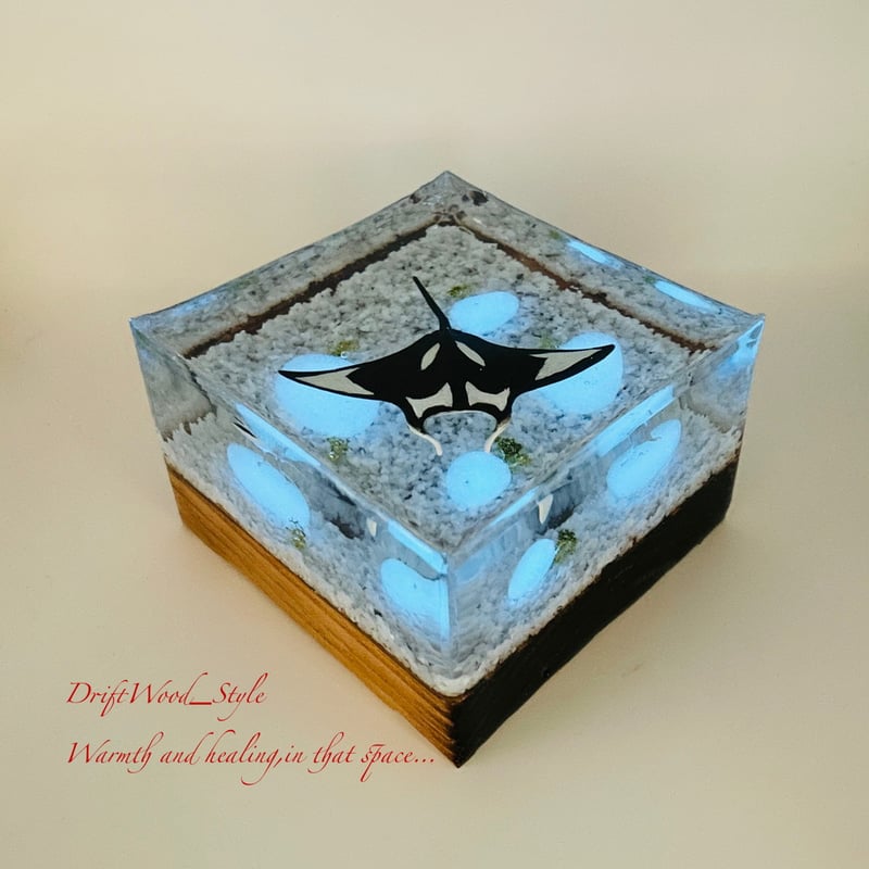 海の世界を閉じ込めた流木アート マンタ 水中ジオラマ 流木 レジン