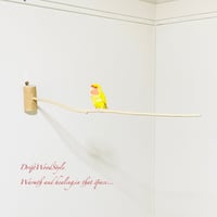 流木止まり木 シンプルな天然流木の小鳥の止まり木 吊り下げタイプ