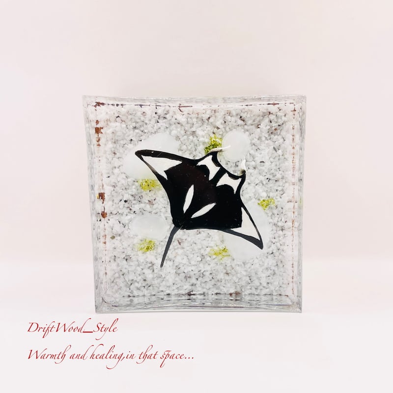 海の世界を閉じ込めた流木アート マンタ 水中ジオラマ 流木 レジン