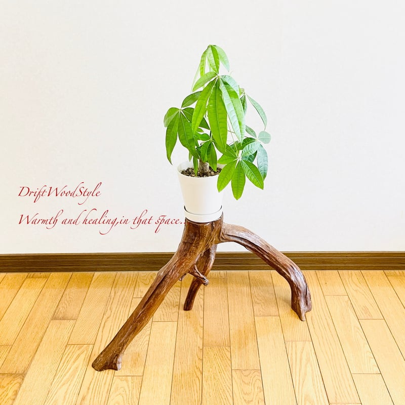 木の根 飾り 流木インテリア 芸術的に伸びる木の根が美しい流木 スタンド 植物や