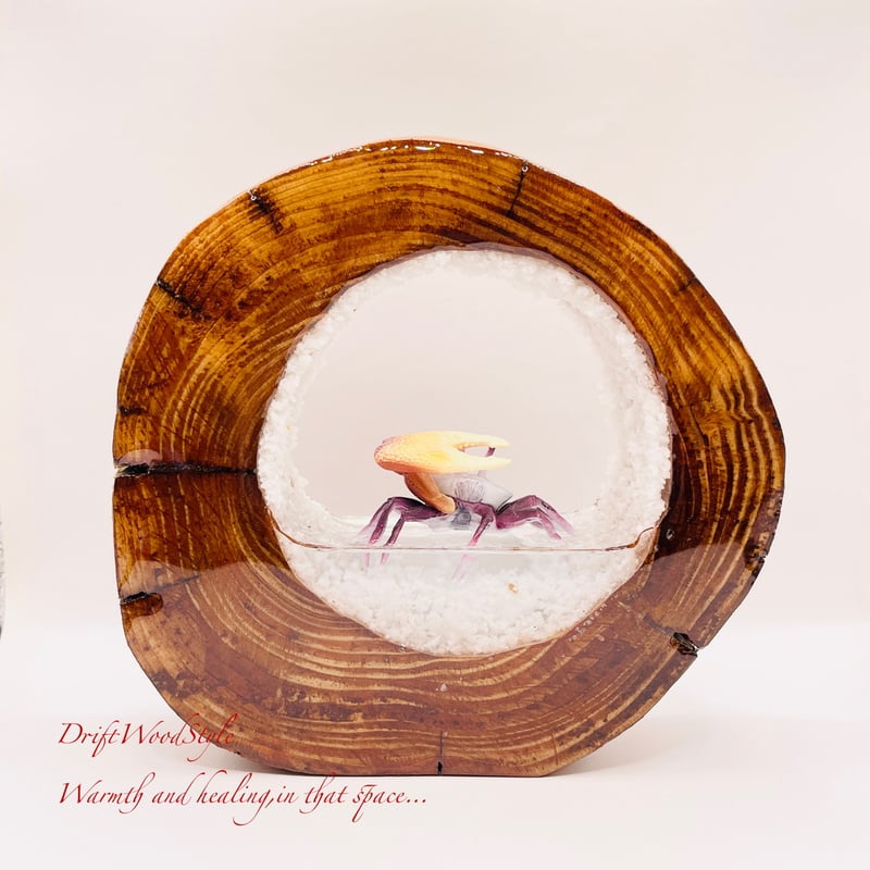 海の世界を閉じ込めた流木アート 浅瀬を歩くシオマネキ カニ 水中