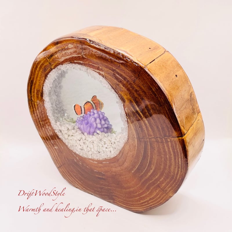 海の世界を閉じ込めた流木アート カクレクマノミ 水中ジオラマ 流木