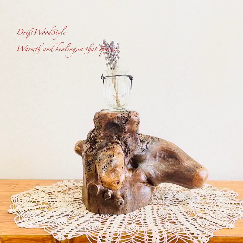 流木インテリア 芸術的な木の根が美しい流木 スタンド 植物や小物を