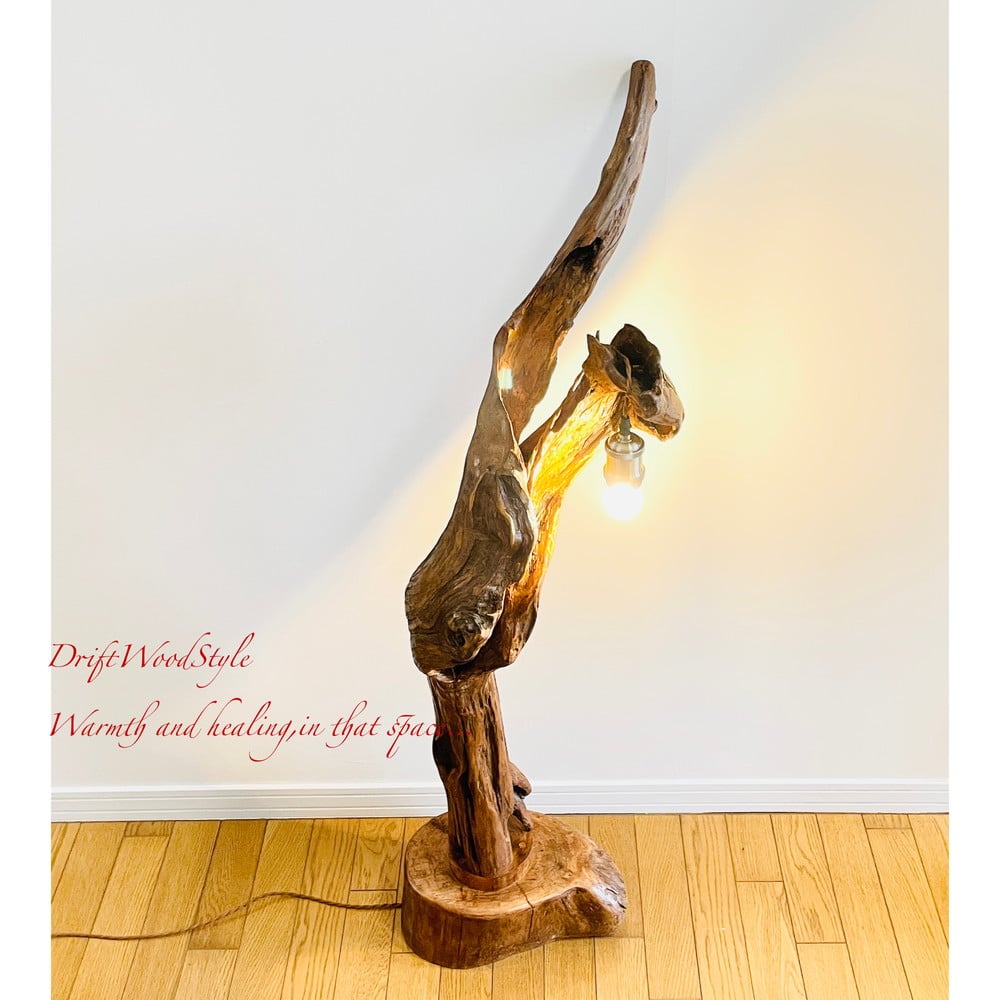 芸術的な造形の流木フロアスタンド 照明 N1 | DriftWoodStyle STORE