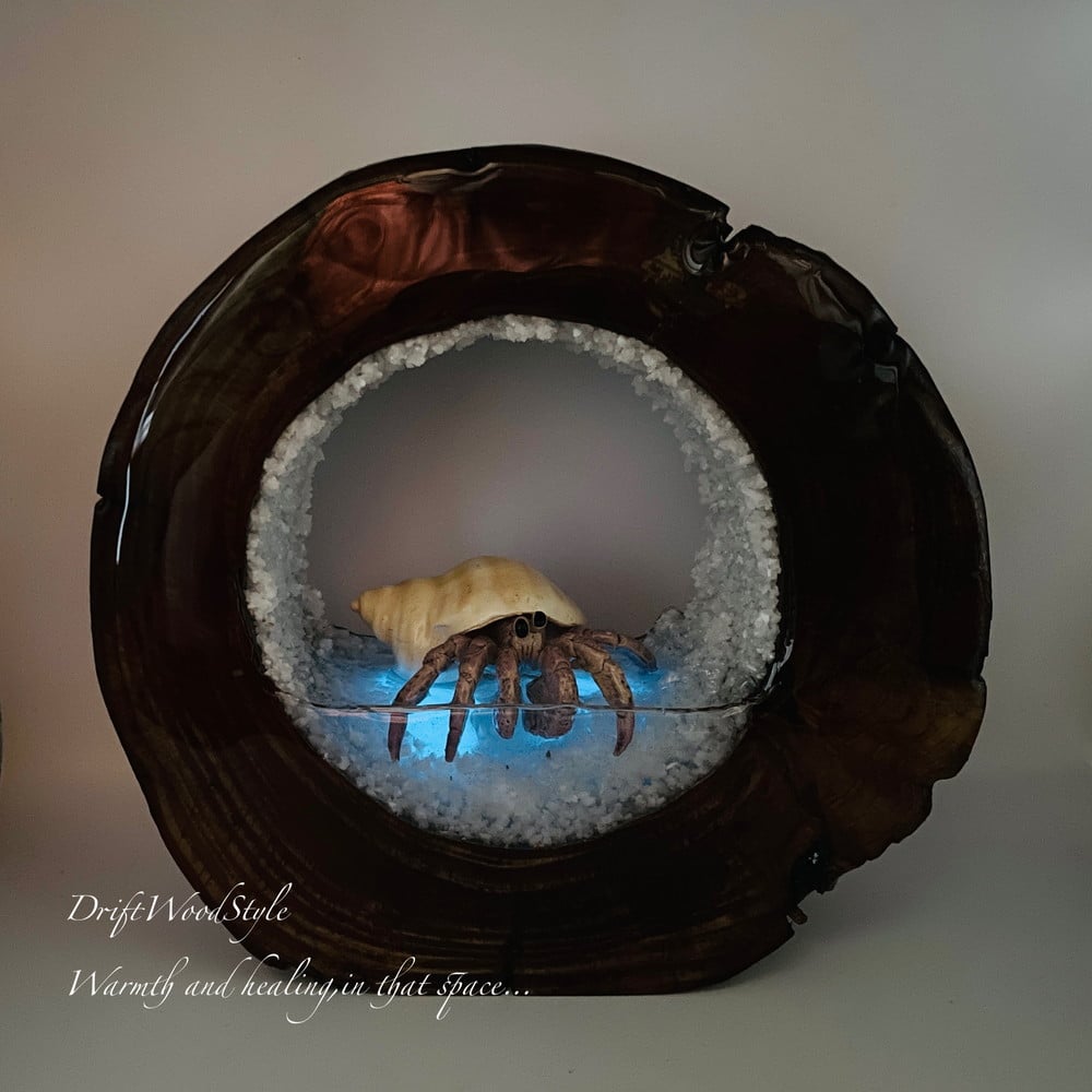 【流木作品】 アート作品 オブジェ 置物W83cm×H87cm×D67cm 海の世界を閉じ込めた流木アート 浅瀬を歩くヤドカリ 水中ジオラマ