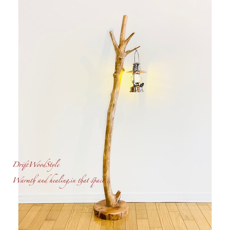 No.694⚜️クリスマス企画ランタンプレゼント‼️希少流木の壁掛けシェルフ アート No.694⚜️クリスマス企画ランタンプレゼント‼️希少流木の壁掛け