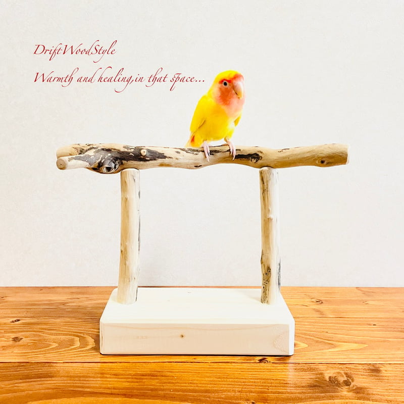 流木インテリア 小～大型インコが止まれる天然流木の小鳥の止まり木
