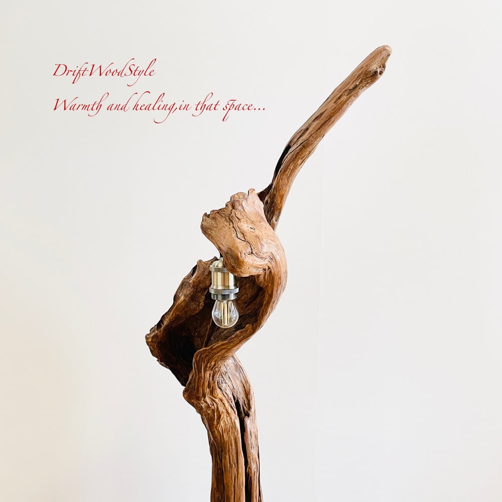 芸術的な造形の流木フロアスタンド 照明 N1 | DriftWoodStyle STORE