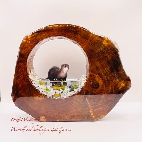 カワウソ | STORES