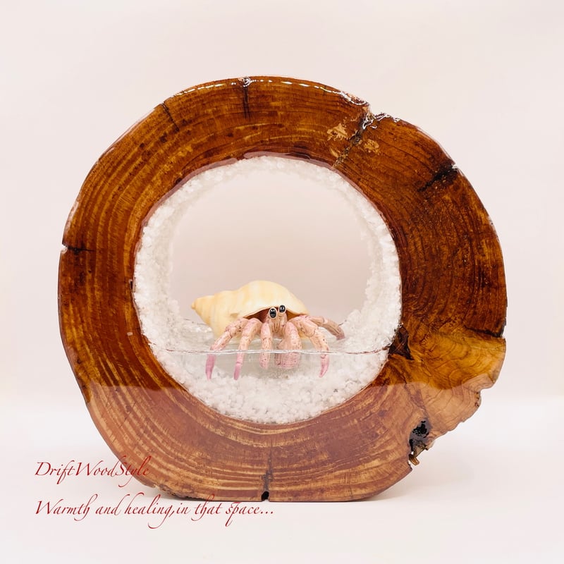 流木　オブジェ　荒波 流木オブジェ荒波