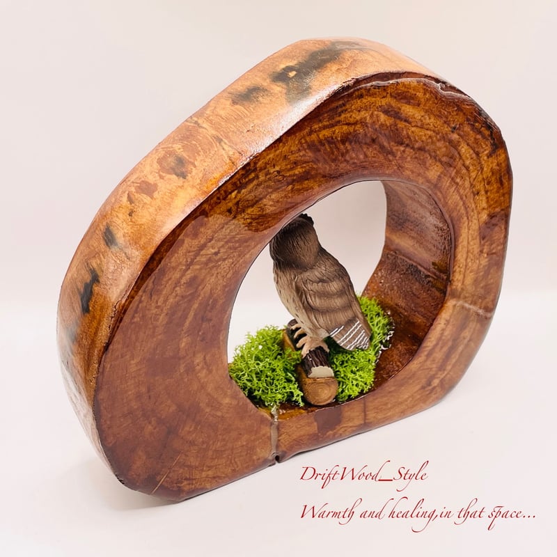 流木　鷹　レジン加工済み 置物 流木鷹レジン加工済み 置物