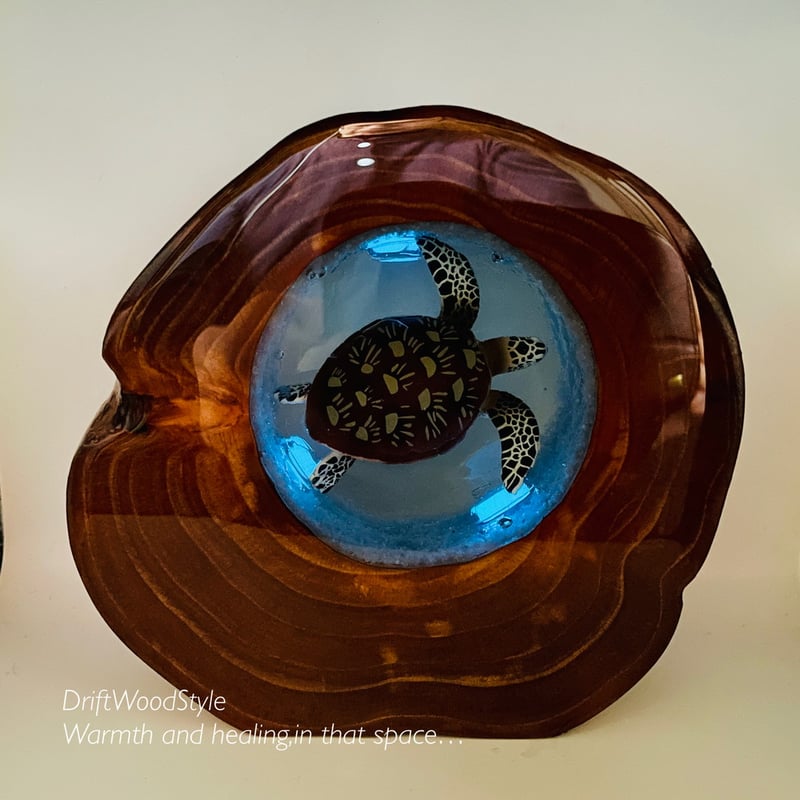 海の世界を閉じ込めた流木アート 海を泳ぐアオウミガメ 水中ジオラマ
