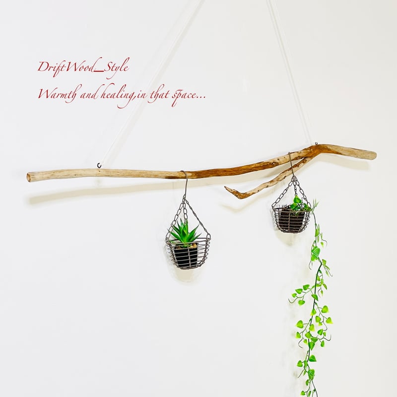 流木インテリア 枝別れした天然流木のハンガーフック 流木ハンガー