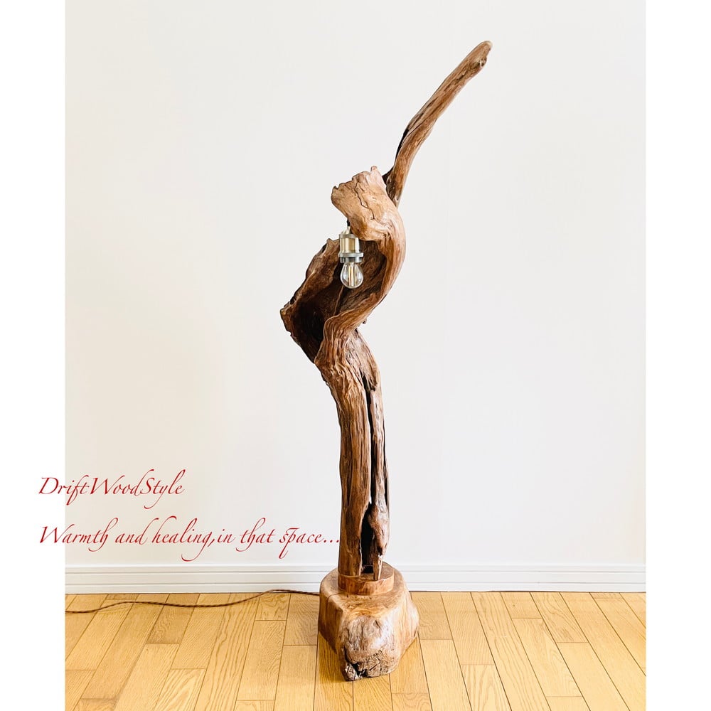 芸術的な造形の流木フロアスタンド 照明 N1 | DriftWoodStyle STORE