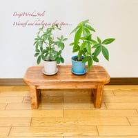 流木インテリア 丸太を使ったキノコの形の流木スツール 一点物