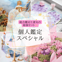 個人鑑定スペシャル〜ホロスコープ総合鑑定〜