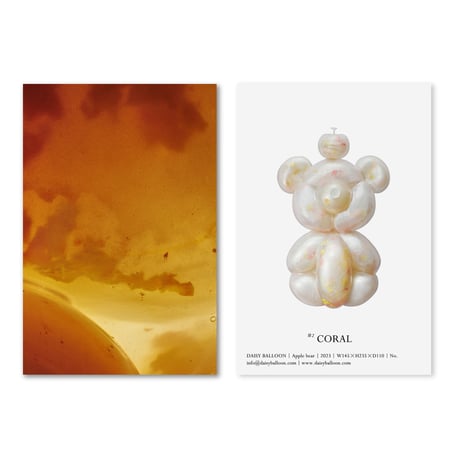 Apple bear 260 Series | #2 "CORAL"