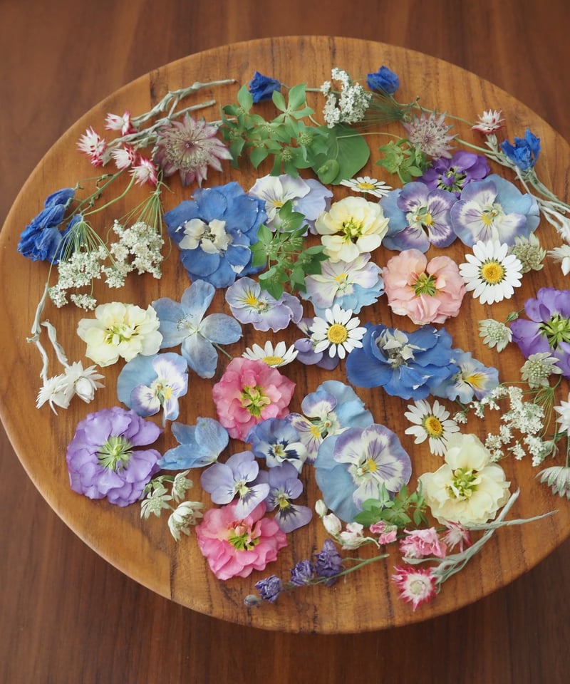 moon様 専用】ドライフラワー&押し花 花材セット | zelkova's aroma g