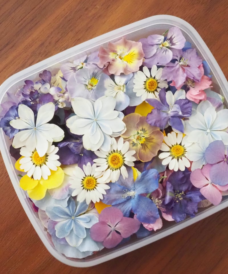 Decilyおでし様 専用】庭で育つ&オンライン制作用 花材セット 