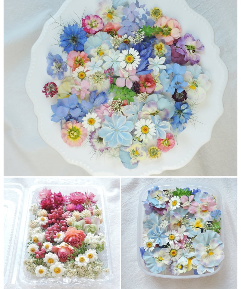 Barbara Mock 花と食器の静物画 金色フレーム Barbara Mock 花と食器の静物画 金色フレーム VTG Barbara Mock