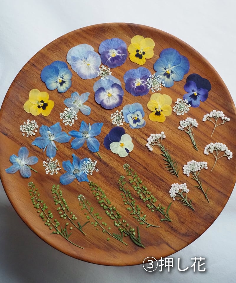 わか ドライフラワー・花材set わか ドライフラワー・花材set ドライフラワーの花材セット